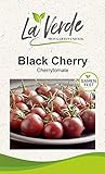 Black Cherry Tomatensamen Foto, Bestseller 2025-2024 neu, bester Preis 3,25 € Rezension