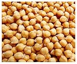 Garbanzo Bean Seeds - Chickpea Seeds - 30+ Seeds Photo, bestseller 2024-2023 new, best price $9.99 ($19.98 / Ounce) review