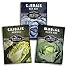 Photo Cabbage Collection Seed Vault - Non-GMO Heirloom Survival Garden Seeds for Planting - Red Acre, Golden Acres, and Michihili (Napa) Cabbage Seed Packets to Grow Your Own Healthy Cruciferous Vegetables new bestseller 2024-2023