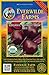 Photo Everwilde Farms - 500 Organic Detroit Dark Red Beet Seeds - Gold Vault Packet new bestseller 2024-2023