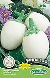 Aubergine WHITE EGG Foto, Bestseller 2024-2023 neu, bester Preis 5,15 € Rezension