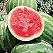 Photo Red Rock Watermelons (Seedless) Seeds (25+ Seeds)(More Heirloom, Organic, Non GMO, Vegetable, Fruit, Herb, Flower Garden Seeds (25+ Seeds) at Seed King Express) new bestseller 2024-2023