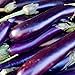 Photo David's Garden Seeds Eggplant Long Purple 1131 (Purple) 50 Non-GMO, Heirloom Seeds new bestseller 2024-2023