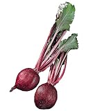 Burpee Detroit Supreme Beet Seeds 350 seeds Photo, bestseller 2024-2023 new, best price $6.16 review