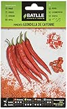 Pimiento Guindilla de Cayenne, rojo Foto, éxito de ventas 2024-2023 nuevo, mejor precio 1,60 € revisión