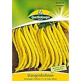 Stangenbohne, Neckargold Foto, Bestseller 2024-2023 neu, bester Preis 3,82 € Rezension