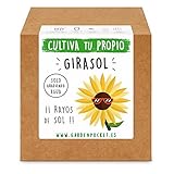 Garden Pocket - Kit Cultivo Girasol Foto, éxito de ventas 2024-2023 nuevo, mejor precio 8,90 € revisión