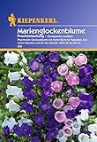 Sperli Blumensamen Glockenblume Marien-Prachtmischung, grün Foto, Bestseller 2025-2024 neu, bester Preis 3,02 € Rezension