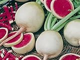 Radieschen - Radies - Winterradieschen - Wassermelone (100 Samen) Foto, Bestseller 2024-2023 neu, bester Preis 2,15 € (0,02 € / stück) Rezension