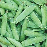 Burpee Wando (Shelling) Pea Seeds 225 seeds Photo, bestseller 2024-2023 new, best price $7.21 review