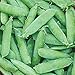 Photo Burpee Wando (Shelling) Pea Seeds 225 seeds new bestseller 2024-2023