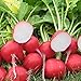 Photo Park Seed Roxanne Hybrid Radish Seeds, Award-Winning, Pack of 200 Seeds new bestseller 2024-2023