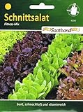 Schnittsalat Fitness Mix Salat vitaminreich Foto, Bestseller 2025-2024 neu, bester Preis 2,50 € Rezension