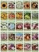 Photo 25 Slightly Assorted Flower Seed Packets - Includes 10+ Varieties - May Include: Forget Me Nots, Pinks, Marigolds, Zinnia, Wildflower, Poppy, Snapdragon and More - Made in the USA new bestseller 2024-2023