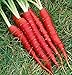 Photo Atomic Red Carrots, 250 Heirloom Seeds Per Packet, Non GMO Seeds, (Isla's Garden Seeds), Botanical Name: Daucus Carrota, 80% Germination Rates new bestseller 2024-2023