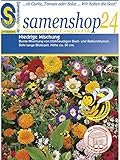 Samenshop24´s Bienenfreude, niedrige Blumenmischung (1 Stück) Foto, Bestseller 2025-2024 neu, bester Preis 2,49 € (2,49 € / Stück) Rezension