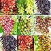 Photo SAVIORD 100pcs Mixed Sweet Seedless Grape Fruit Seeds new bestseller 2024-2023