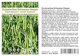 Seedeo® Zuckererbse Schweizer Riesen (Pisum sativum L. convar. Axiphium) ca. 50 Samen BIO Foto, Bestseller 2024-2023 neu, bester Preis 2,95 € Rezension