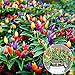 Photo C-LARSS 50pcs Graines Graines De Piment Multicolore Poivre Plante Fleur Maison Jardin Ornement Multicolore nouveau best-seller 2024-2023