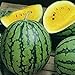 Photo David's Garden Seeds Fruit Watermelon Yellow Petite 9832 (Yellow) 25 Non-GMO, Heirloom Seeds new bestseller 2024-2023