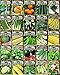 Photo Set of 25 Premium Vegetable & Herb Seeds - 25 Deluxe Variety Premium Vegetable & Herb Garden 100% Non-GMO Heirloom new bestseller 2024-2023