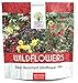 Photo Deer Resistant Wildflower Seed Mixture - Bulk 1 Ounce Packet - Over 15,000 Deer Tolerant Seeds - Open Pollinated and Non GMO new bestseller 2024-2023