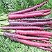 Photo David's Garden Seeds Carrot Cosmic Purple 1199 (Purple) 200 Non-GMO, Heirloom Seeds new bestseller 2024-2023