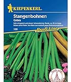 Kiepenkerl Stangenbohnen 'Cobra',1 Portion Foto, Bestseller 2024-2023 neu, bester Preis 4,28 € Rezension