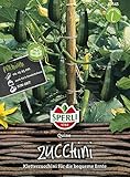 Zucchini, Quine, Cucurbita pepo Foto, Bestseller 2025-2024 neu, bester Preis 4,56 € Rezension