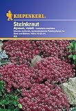 Sperli Blumensamen Steinkraut Alyssum, violett, grün Foto, Bestseller 2025-2024 neu, bester Preis 2,01 € Rezension