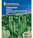 Kiepenkerl Salatgurken 'Dominica',1 Portion Foto, Bestseller 2025-2024 neu, bester Preis 4,49 € Rezension