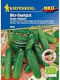 BIO Einlegegurken Traubengurken Diamant parthenocarp tolerant Biosaatgut Foto, Bestseller 2024-2023 neu, bester Preis 7,49 € Rezension