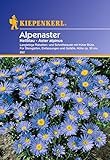 Sperli Blumensamen Alpenaster hellblau, grün Foto, Bestseller 2025-2024 neu, bester Preis 1,86 € Rezension