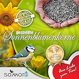 samore Sonnenblumenkerne gestreift erstklassige Qualität Wildvogelfutter Foto, Bestseller 2025-2024 neu, bester Preis 38,56 € (1,54 € / kg) Rezension