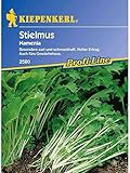 Kiepenkerl Stielmus Namenia Foto, Bestseller 2024-2023 neu, bester Preis 3,14 € Rezension