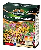 Sommerblumenmischung (ohne Gräser) NEU Foto, Bestseller 2025-2024 neu, bester Preis 7,21 € (72,10 € / kg) Rezension