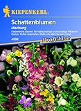 Schattenblumen-Mischung Foto, Bestseller 2025-2024 neu, bester Preis 3,95 € Rezension