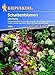 Foto Schattenblumen-Mischung neu Bestseller 2025-2024