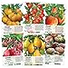 Photo Multicolor Tomato Seed Packet Collection (6 Individual Packets) Non-GMO Seeds by Seed Needs new bestseller 2024-2023