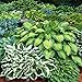 Photo Mixed Heart-Shaped Hosta Bare Roots - Rich Green Foliage, Low Maintenance, Heart Shaped Leaves - 6 Roots new bestseller 2024-2023