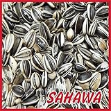 SAHAWA® Sonnenblumenkerne gestreift 25 kg, Vogelfutter, Winterfutter Foto, Bestseller 2024-2023 neu, bester Preis 37,17 € (1,49 € / kg) Rezension