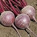 Photo David's Garden Seeds Beet Merlin 9981 (Red) 200 Non-GMO, Hybrid Seeds new bestseller 2024-2023