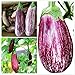 Photo 150 Pièces Aubergine Longue Des Graines Couleur Motif Épiderme Vivace Semences De Légumes En Plein Air Jardin Ferme Plantation Cuisine Floraison Forte Ornementale nouveau best-seller 2024-2023