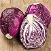 Photo RattleFree Cabbage Seeds for Planting | Heirloom & Non-GMO | 500 Red Acre Cabbage Vegetable Seeds for Planting Home Gardens | Growing Instructions Included on Planting Packets new bestseller 2024-2023