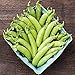 Photo David's Garden Seeds Pea Snap Cascadia 4567 (Green) 100 Non-GMO, Open Pollinated Seeds new bestseller 2024-2023