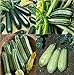 Photo David's Garden Seeds Collection Set Zucchini 9835 (Green) 4 Varieties 100 Non-GMO, Open Pollinated Seeds new bestseller 2024-2023