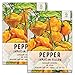 Photo Seed Needs, Jamaican Yellow Pepper Seeds (Capsicum annuum) Twin Pack of 100 Seeds Each Non-GMO new bestseller 2025-2024