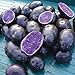 Photo Simply Seed - Purple Majesty - Naturally Grown Seed Potatoes - 5 LB- Ready for Spring Planting new bestseller 2024-2023