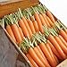 Photo David's Garden Seeds Carrot Napoli 1122 (Orange) 200 Non-GMO, Hybrid Seeds new bestseller 2025-2024