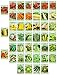 Photo Set of 43 Assorted Vegetable & Herb Seeds - 43 Varieties - Create a Deluxe Garden All Seeds are Heirloom - 100% Non-GMO by Black Duck Brand new bestseller 2024-2023